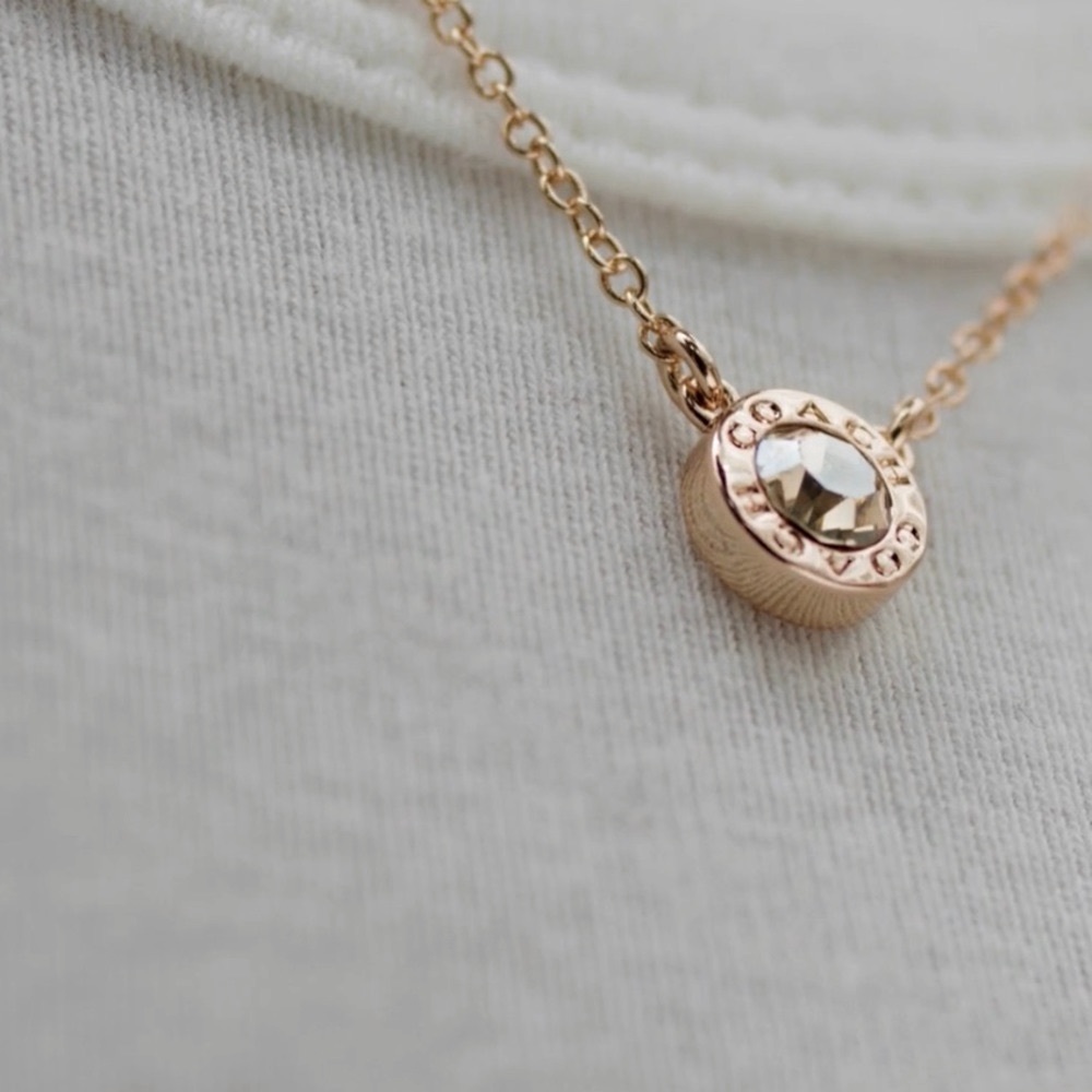 Coach Open Circle Necklace and Stud Earring Set - Picture 6 of 13